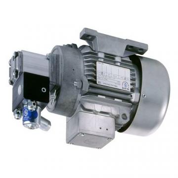 P11A193*BEEK27-92 gear pump 27cc/rev 